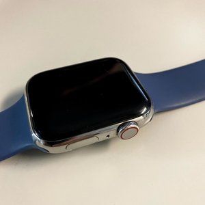 Stainless Steel Apple Watch Series 5, 44mm